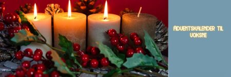 Lækker adventskalender til voksne 2026